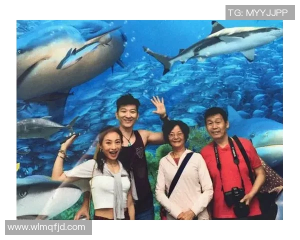 布里斯班与阳光海岸的精彩对决展现澳洲足球的魅力与激情