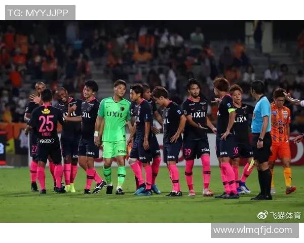 东京绿茵迎战柏太阳全力争胜展现足球激情与团队精神 东京绿茵迎战柏太阳全力争胜展现足球激情与团队精神