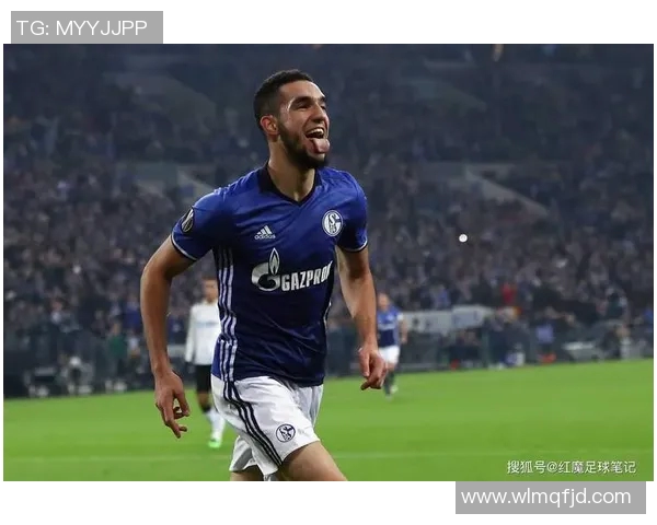 沙尔克04客场止连败战胜美因茨获胜结束 沙尔克04客场止连败战胜美因茨获胜结束