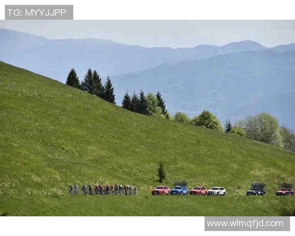 沙巴度尔与卢戈的精彩对决分析及赛前预测