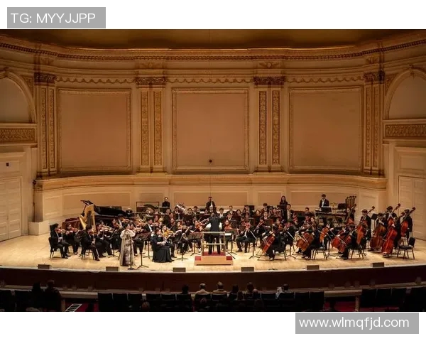 扬科勒：探索未来科技与人文交融的创新之路