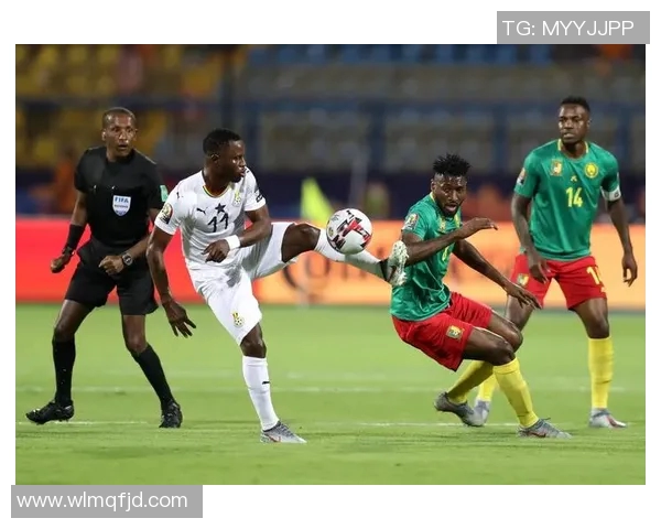 加纳与突尼斯激战正酣赛况分析及精彩瞬间回顾