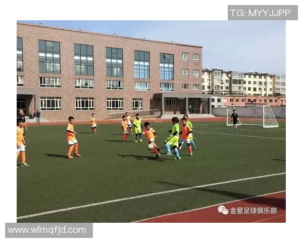 谢什科的传奇人生与足球梦想的追逐之路